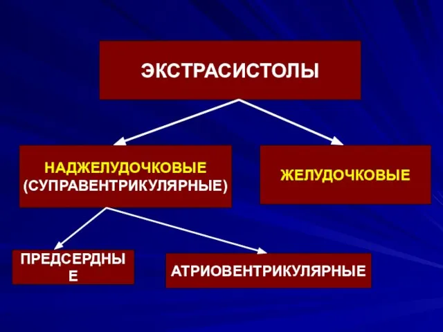 ЭКСТРАСИСТОЛЫ НАДЖЕЛУДОЧКОВЫЕ (СУПРАВЕНТРИКУЛЯРНЫЕ) ЖЕЛУДОЧКОВЫЕ ПРЕДСЕРДНЫЕ АТРИОВЕНТРИКУЛЯРНЫЕ