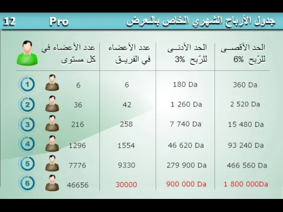 عدد الأعضاء في كل مستوى عدد الأعضاء في الفريــق الحد الأدنــى