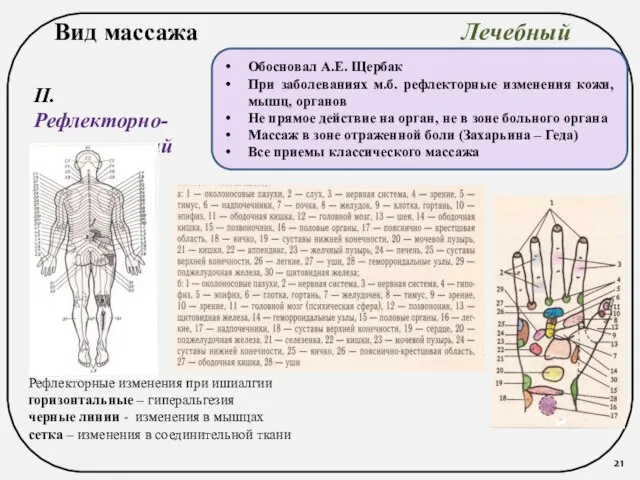 Вид массажа Лечебный II. Рефлекторно-сегментарный Обосновал А.Е. Щербак При заболеваниях м.б.