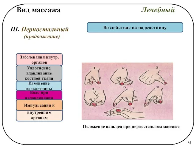 Вид массажа Лечебный III. Периостальный (продолжение) Воздействие на надкостницу Заболевания внутр.органов