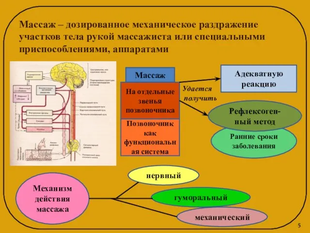 Ранние сроки заболевания Массаж – дозированное механическое раздражение участков тела рукой