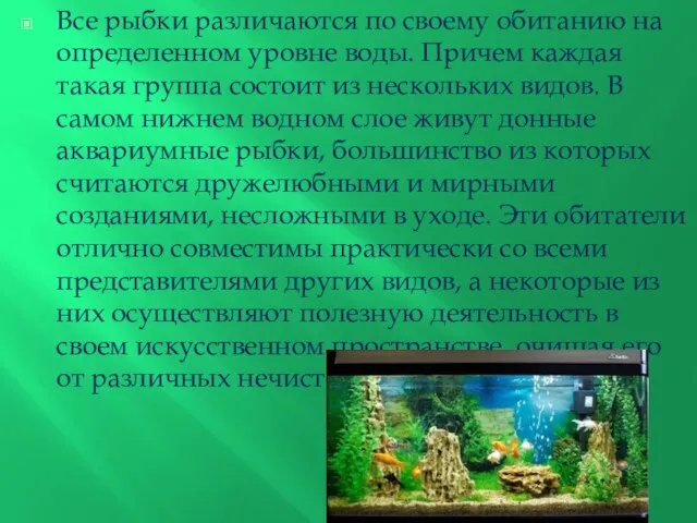 Все рыбки различаются по своему обитанию на определенном уровне воды. Причем