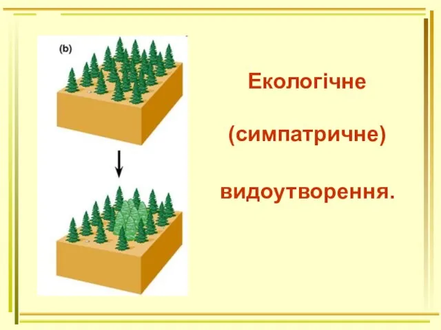 Екологічне (симпатричне) видоутворення.