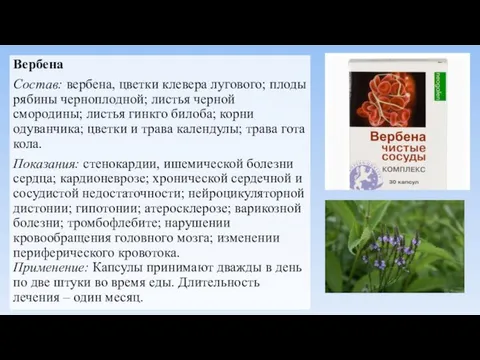 Вербена Состав: вербена, цветки клевера лугового; плоды рябины черноплодной; листья черной