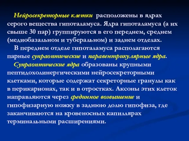 Нейросекреторные клетки расположены в ядрах серого вещества гипоталамуса. Ядра гипоталамуса (а