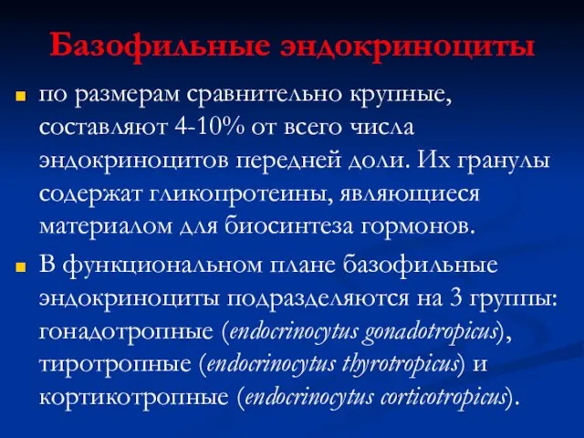 Базофильные эндокриноциты по размерам сравнительно крупные, составляют 4-10% от всего числа