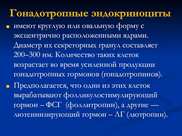 Гонадотропные эндокриноциты имеют круглую или овальную форму с эксцентрично расположенными ядрами.