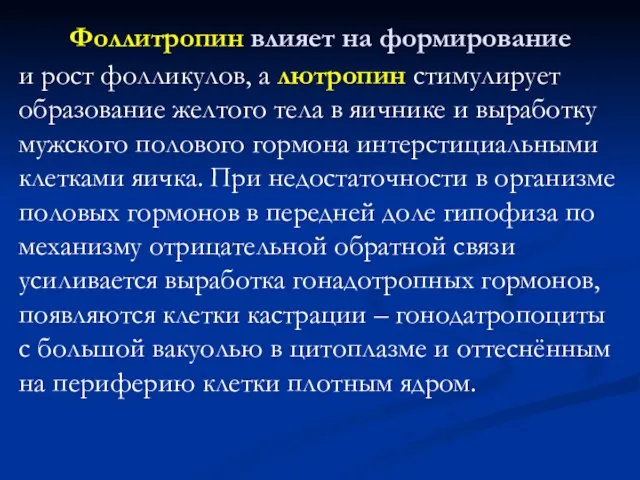 Фоллитропин влияет на формирование и рост фолликулов, а лютропин стимулирует образование