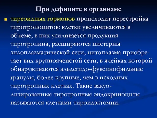 При дефиците в организме тиреоидных гормонов происходит перестройка тиротропоцитов: клетки увеличиваются