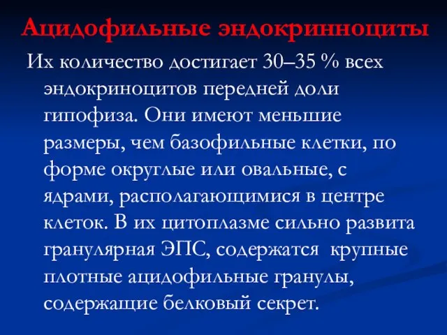 Ацидофильные эндокринноциты Их количество достигает 30–35 % всех эндокриноцитов передней доли