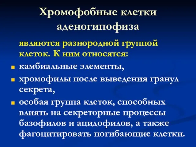 Хромофобные клетки аденогипофиза являются разнородной группой клеток. К ним относятся: камбиальные