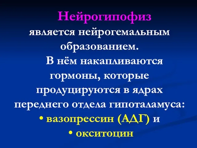 Нейрогипофиз является нейрогемальным образованием. В нём накапливаются гормоны, которые продуцируются в