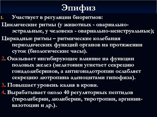 Эпифиз Участвует в регуляции биоритмов: Циклические ритмы (у животных - овариально-эстральные,