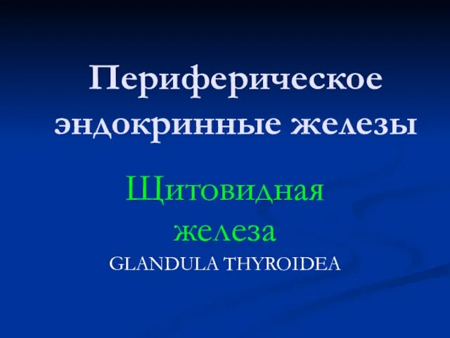 Периферическое эндокринные железы Щитовидная железа GLANDULA THYROIDEA