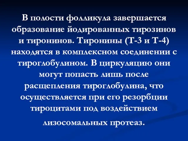 В полости фолликула завершается образование йодированных тирозинов и тиронинов. Тиронины (Т-3