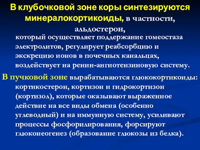 В клубочковой зоне коры синтезируются минералокортикоиды, в частности, альдостерон, который осуществляет