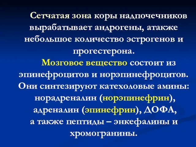 Сетчатая зона коры надпочечников вырабатывает андрогены, атакже небольшое количество эстрогенов и