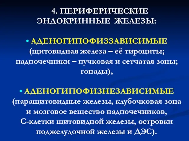 4. ПЕРИФЕРИЧЕСКИЕ ЭНДОКРИННЫЕ ЖЕЛЕЗЫ: • АДЕНОГИПОФИЗЗАВИСИМЫЕ (щитовидная железа – её тироциты;