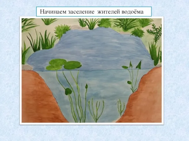 Начинаем заселение жителей водоёма