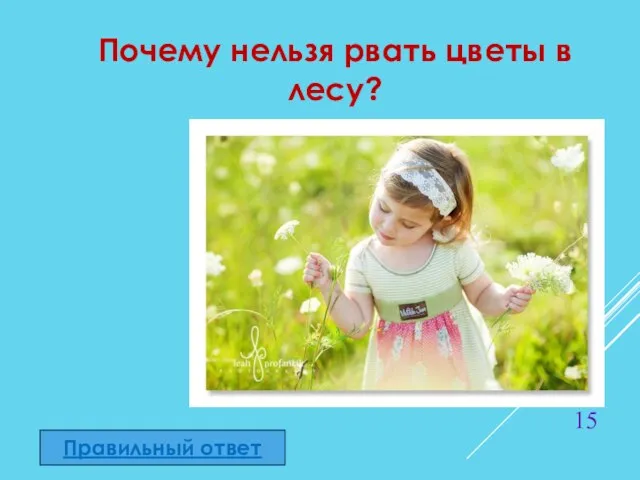 Почему нельзя рвать цветы в лесу? Правильный ответ