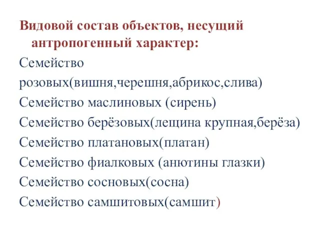 Видовой состав объектов, несущий антропогенный характер: Семейство розовых(вишня,черешня,абрикос,слива) Семейство маслиновых (сирень)