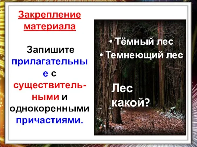 Закрепление материала Запишите прилагательные с существитель-ными и однокоренными причастиями. Лес какой? Тёмный лес Темнеющий лес