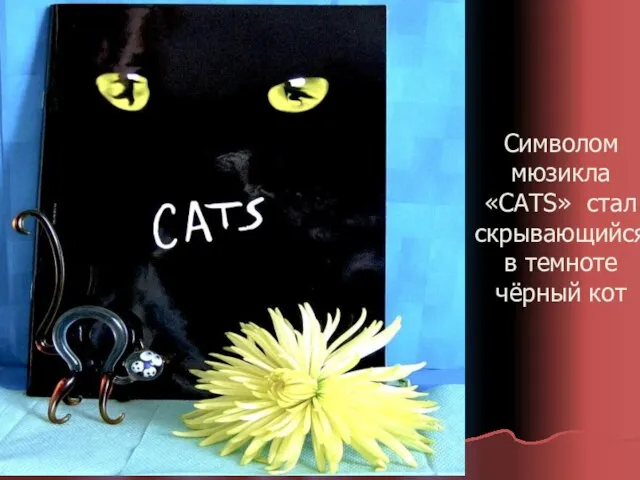 Символом мюзикла «CATS» стал скрывающийся в темноте чёрный кот