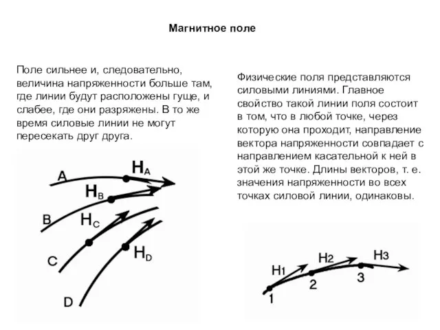 Физические поля представляются силовыми линиями. Главное свойство такой линии поля состоит