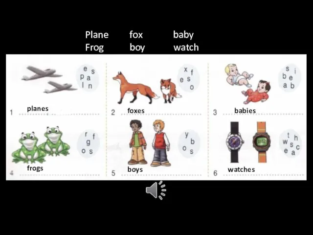 Plane fox baby Frog boy watch