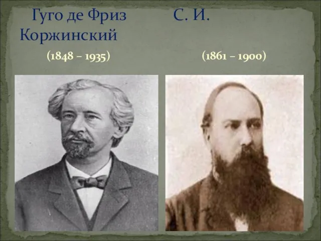 (1848 – 1935) Гуго де Фриз С. И. Коржинский (1861 – 1900)