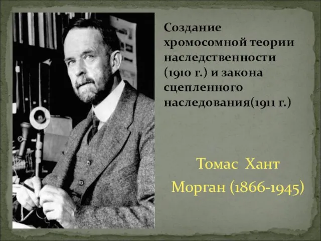 Томас Хант Морган (1866-1945) Создание хромосомной теории наследственности (1910 г.) и закона сцепленного наследования(1911 г.)