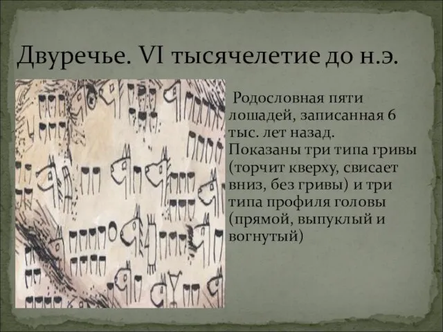 Двуречье. VI тысячелетие до н.э. Родословная пяти лошадей, записанная 6 тыс.