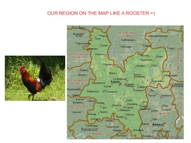 OUR REGION ON THE MAP LIKE A ROOSTER =)