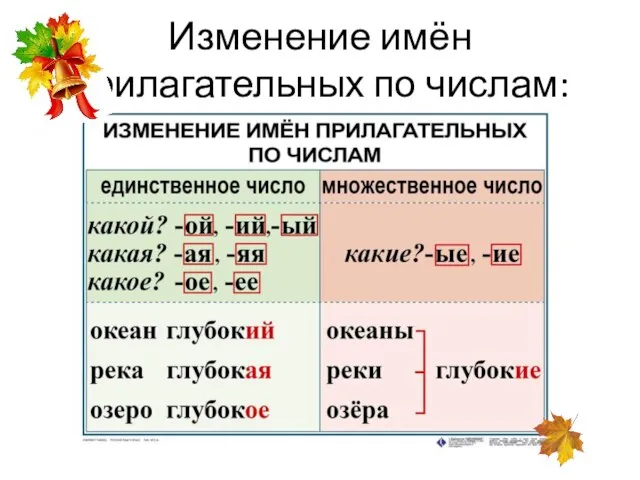 Изменение имён прилагательных по числам: