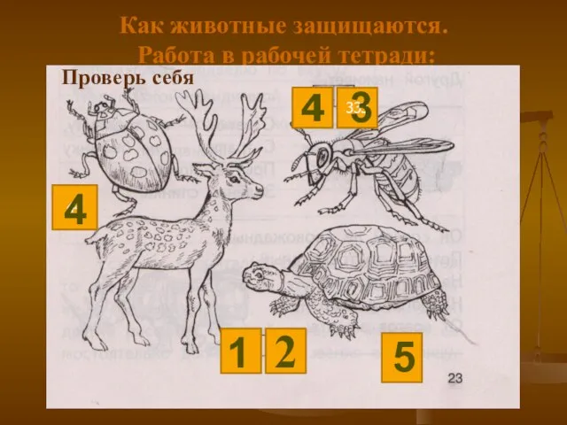Как животные защищаются. Работа в рабочей тетради: 4 333 3 44