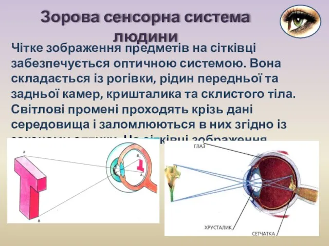 Чітке зображення предметів на сітківці забезпечується оптичною системою. Вона складається із