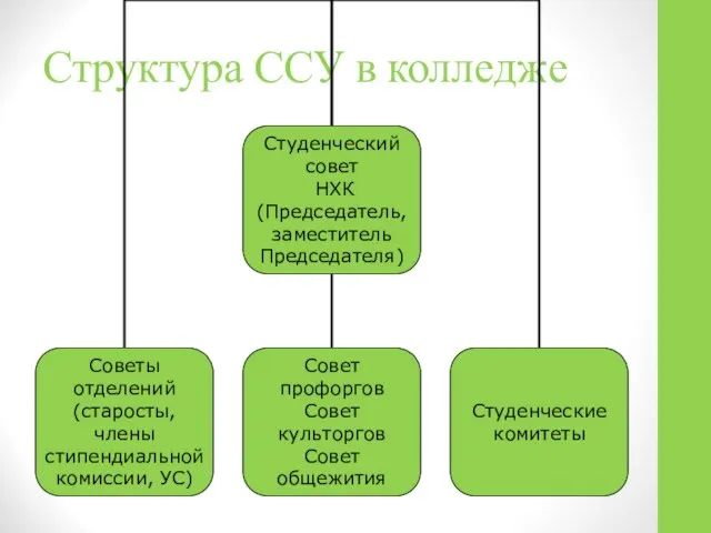 Структура ССУ в колледже