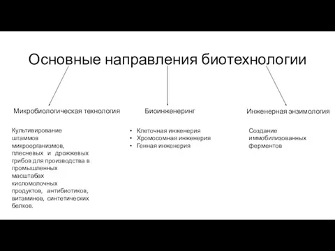 Основные направления биотехнологии Микробиологическая технология Биоинженеринг Инженерная энзимология Культивирование штаммов микроорганизмов,