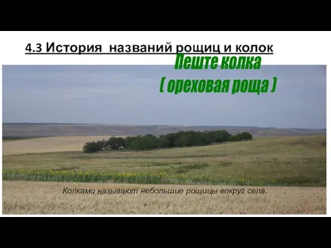 4.3 История названий рощиц и колок Пеште колка ( ореховая роща