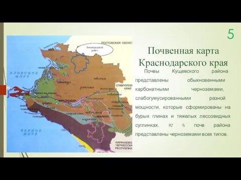Почвенная карта Краснодарского края 5 Почвы Кущевского района представлены обыкновенными карбонатными