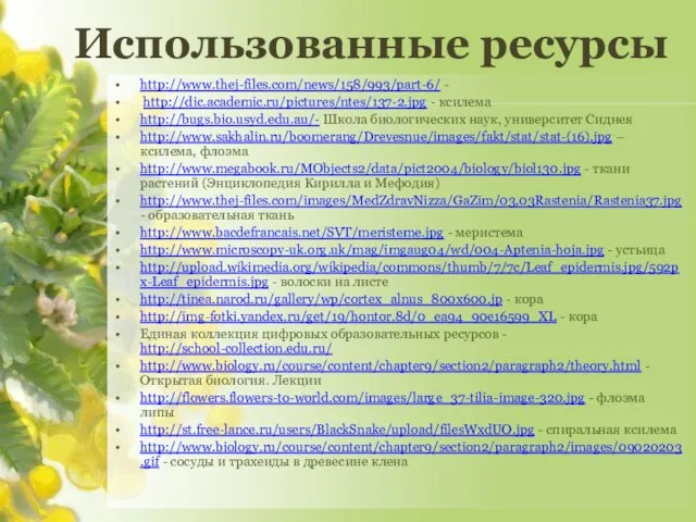 http://www.thej-files.com/news/158/993/part-6/ - http://dic.academic.ru/pictures/ntes/137-2.jpg - ксилема http://bugs.bio.usyd.edu.au/- Школа биологических наук, университет Сиднея