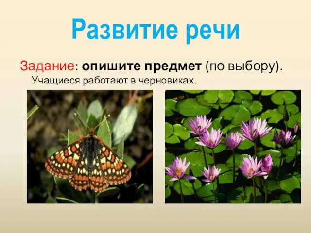 Развитие речи Задание: опишите предмет (по выбору). Учащиеся работают в черновиках.