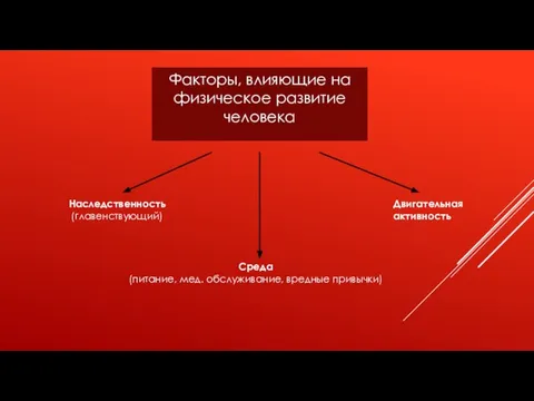 Факторы, влияющие на физическое развитие человека Наследственность (главенствующий) Среда (питание, мед. обслуживание, вредные привычки) Двигательная активность