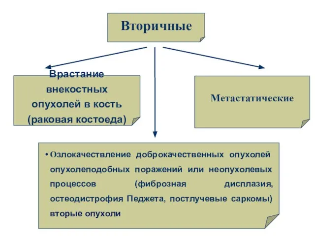 Вторичные Метастатические Врастание внекостных опухолей в кость (раковая костоеда) Озлокачествление доброкачественных