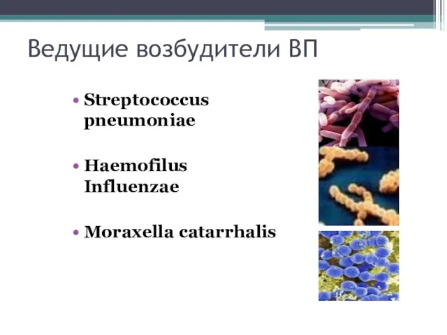 Ведущие возбудители ВП Streptococcus pneumoniae Haemofilus Influenzae Moraxella catarrhalis