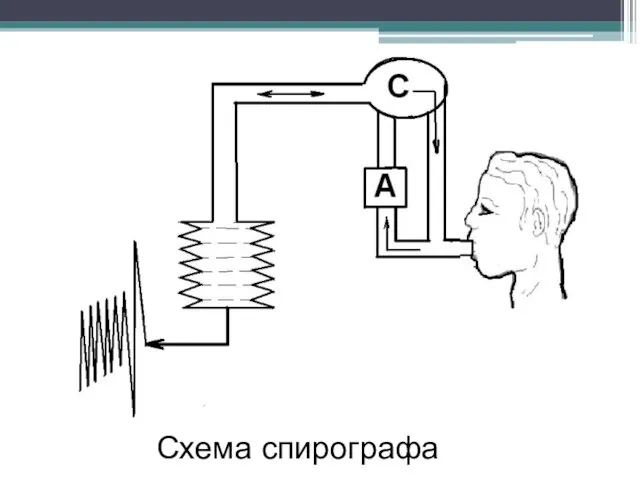 Схема спирографа