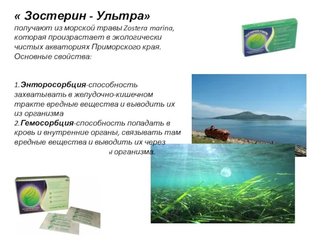 « Зостерин - Ультра» получают из морской травы Zostera marina, которая