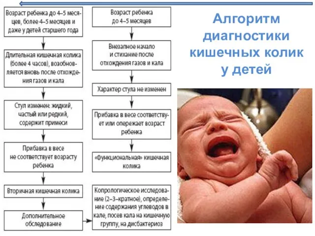 Алгоритм диагностики кишечных колик у детей