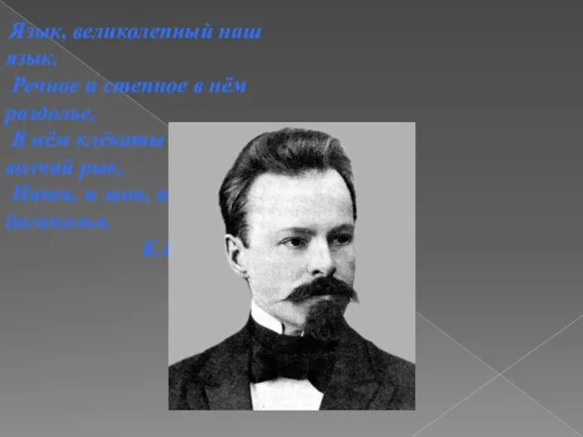 Язык, великолепный наш язык. Речное и степное в нём раздолье, В