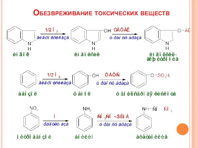 Обезвреживание токсических веществ